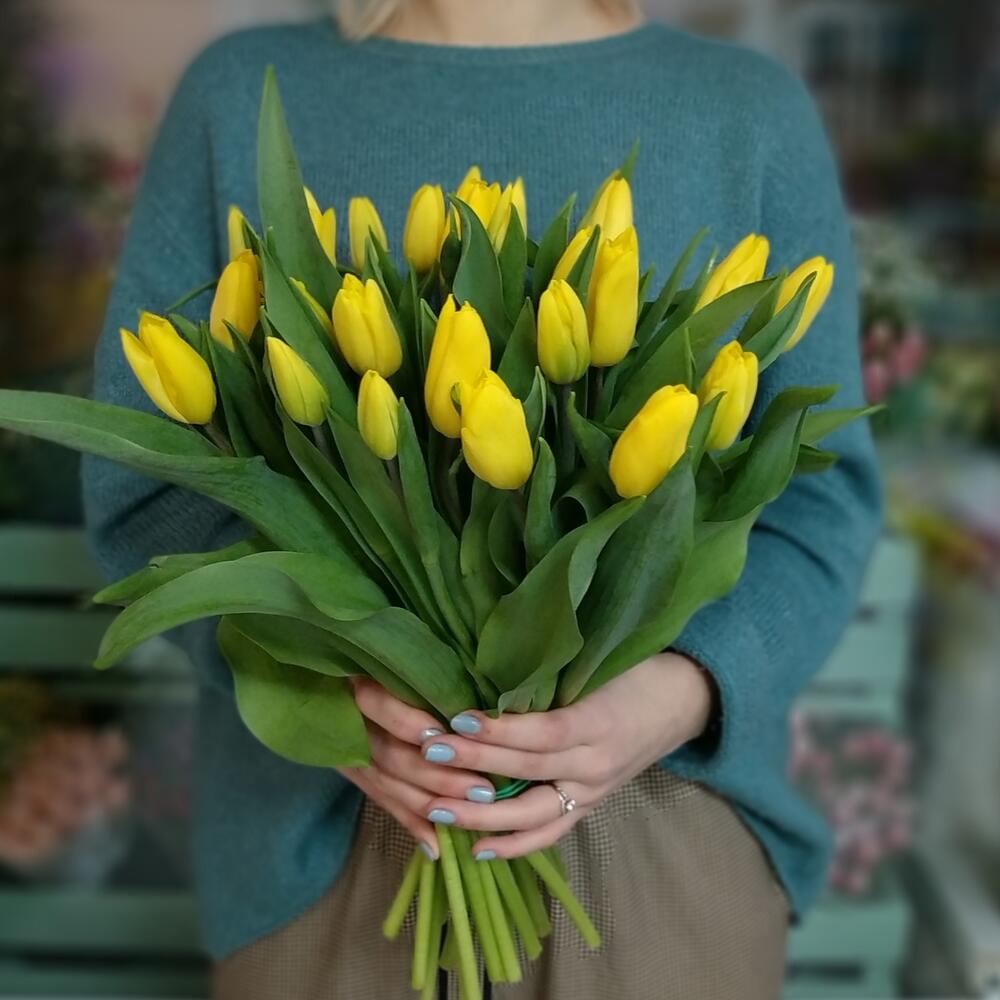 25 жёлтых тюльпанов